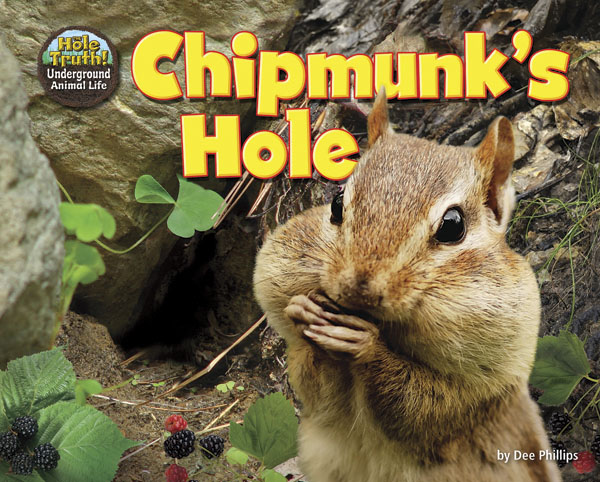 Chipmunk's Hole
