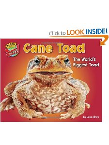 Cane Toad: The World's Biggest Toad