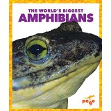 The World's Biggest Amphibians