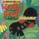 The Secret Life of the Woolly Caterpillar