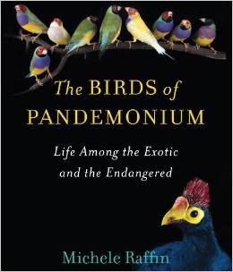 The Birds of Pandemonium: Life Among the Exotic and the Endangered