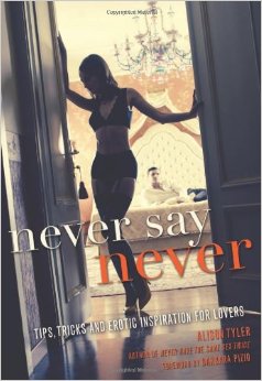 Never Say Never: Tips, Tricks and Erotic Inspiration for Lovers