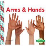 Arms and Hands