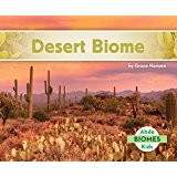 Desert Biome