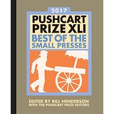 Pushcart Prize XLI: Best of the Small Presses (2017 Edition)