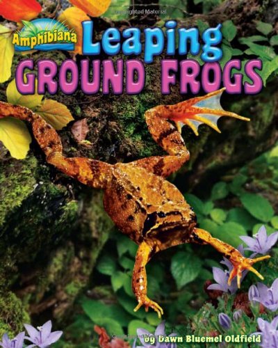 Leaping Ground Frogs