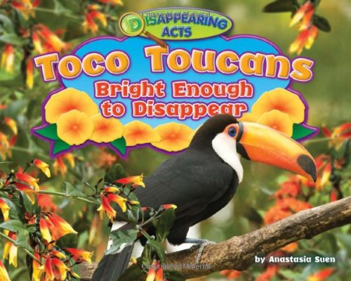 Toco Toucans