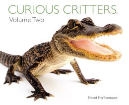 Curious Critters: Volume Two