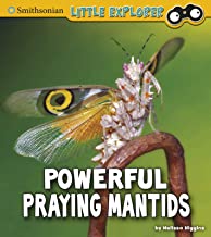 Powerful Praying Mantids